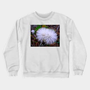 White Ohia Crewneck Sweatshirt